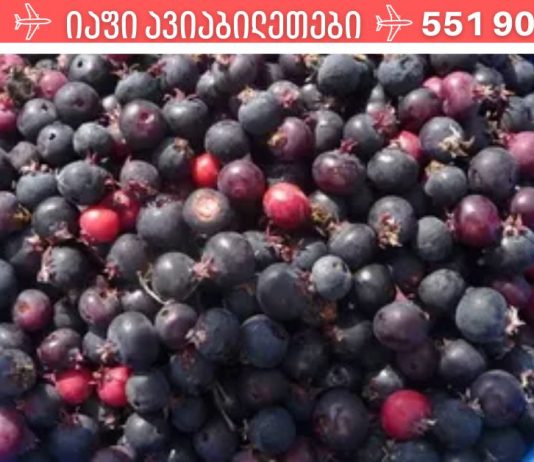 ირგის კენკრა მხოლოდ ჯანმრთელობის საბადოა ჩვენი ორგანიზმისთვის!