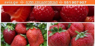 ვიტამინების ზღვა: სურნელოვანი და ძალიან გემრიელი დაშაქრული მარწყვი