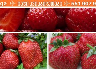 ვიტამინების ზღვა: სურნელოვანი და ძალიან გემრიელი დაშაქრული მარწყვი