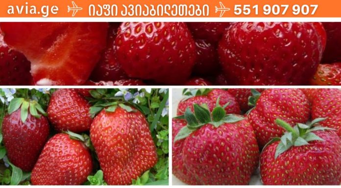 ვიტამინების ზღვა: სურნელოვანი და ძალიან გემრიელი დაშაქრული მარწყვი