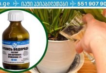 წყალბადის ზეჟანგი სახლის ყვავილებისთვის -საუკეთესო ბალზამი ზამთარისთვის!