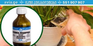 წყალბადის ზეჟანგი სახლის ყვავილებისთვის -საუკეთესო  ბალზამი ზამთარისთვის!