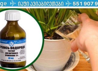 წყალბადის ზეჟანგი სახლის ყვავილებისთვის -საუკეთესო ბალზამი ზამთარისთვის!