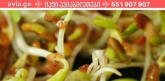 გაღვივებული მარცვლეულის ფასდაუდებელი სარგებელი