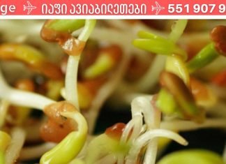 გაღვივებული მარცვლეულის ფასდაუდებელი სარგებელი