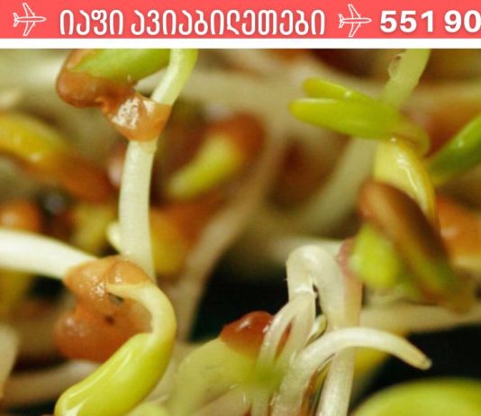 გაღვივებული მარცვლეულის ფასდაუდებელი სარგებელი