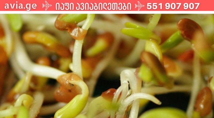 გაღვივებული მარცვლეულის ფასდაუდებელი სარგებელი