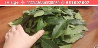 ბებიამ მასწავლა ძალიან ბევრი ჯანმრთელობისთვის სასარგებლო დაფნის ფოთოლზე. რამდენი სასარგებლო თვისება ქონია არ ვიცოდი.