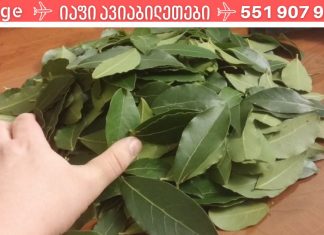 ბებიამ მასწავლა ძალიან ბევრი ჯანმრთელობისთვის სასარგებლო დაფნის ფოთოლზე. რამდენი სასარგებლო თვისება ქონია არ ვიცოდი.