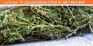 მცენარეები, რომლებიც სასწაულად მოქმედებენ ხველაზე