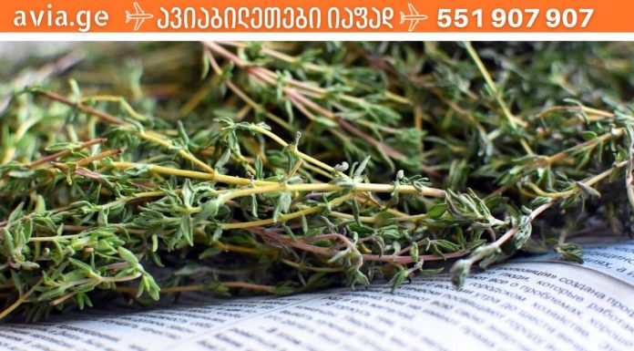 მცენარეები, რომლებიც სასწაულად მოქმედებენ ხველაზე