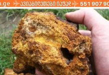 რატო არცერთი ექიმი ახსენებს ამ პროდუქტს? ჩაგა- არყის ხის სოკო- ჩვენი ჯანმრთელობისთვის ღირებული ბუნებრივი პროდუქტია