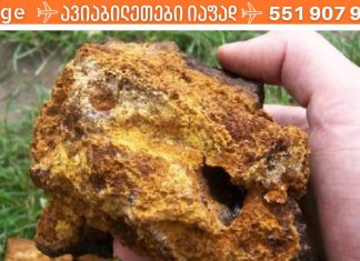 რატო არცერთი ექიმი ახსენებს ამ პროდუქტს? ჩაგა- არყის ხის სოკო- ჩვენი ჯანმრთელობისთვის ღირებული ბუნებრივი პროდუქტია