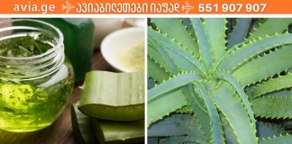 ალოეს წვენის სასწაულებს აკეთებს ,მეზობელმა მასწავლა ეს სასწაული რეცეპტები