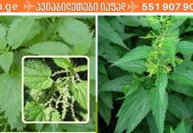 როცა უძლურება შეგაწუხებს, მოამზადე ეს სასწაული საშუალება და შედეგის თვითონ ნახავთ.