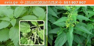 როცა უძლურება შეგაწუხებს, მოამზადე ეს სასწაული საშუალება და შედეგის თვითონ ნახავთ.