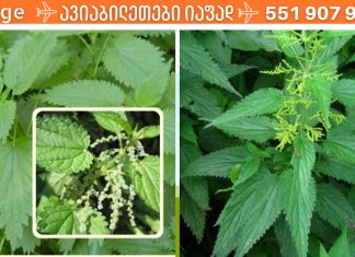 როცა უძლურება შეგაწუხებს, მოამზადე ეს სასწაული საშუალება და შედეგის თვითონ ნახავთ.