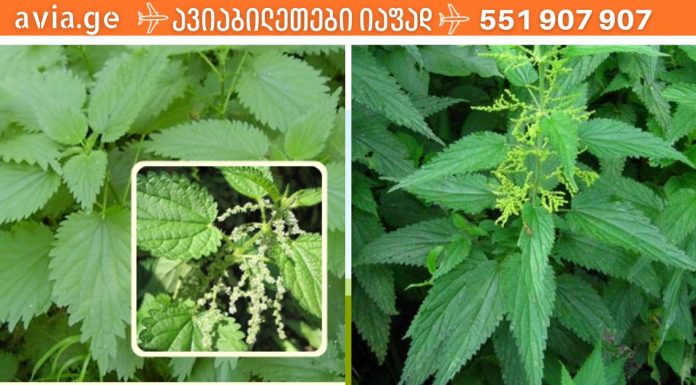 როცა უძლურება შეგაწუხებს, მოამზადე ეს სასწაული საშუალება და შედეგის თვითონ ნახავთ.