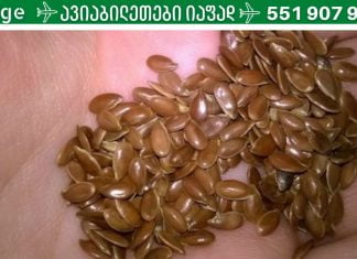 ჩვენ ვმკურნალობთ შეკრულობას.