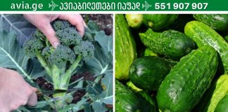 6 საუკეთესო ტუტე საკვები, რომელსაც უნდა ვუფრთხილდეთ