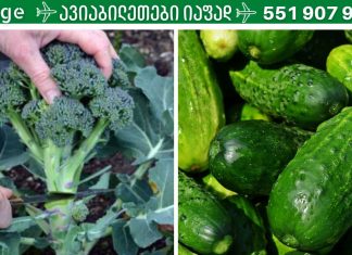 6 საუკეთესო ტუტე საკვები, რომელსაც უნდა ვუფრთხილდეთ