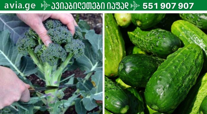 6 საუკეთესო ტუტე საკვები, რომელსაც უნდა ვუფრთხილდეთ