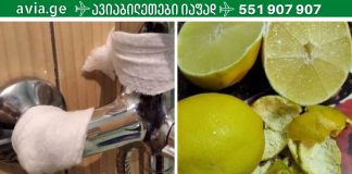 ლიმონი ჟანგის საწინააღმდეგოდ: ჩვენ გამოვავლინეთ ერთ-ერთ ყველაზე ეფექტურ სასიცოცხლო გზა სანტექნიკის გასაწმენდად