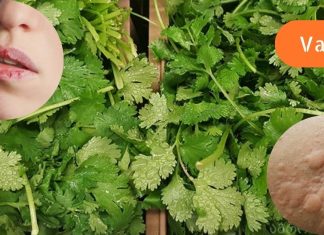 ეს ყველამ უნდა იცოდეს,ქინძის სასწაული თვისებები.