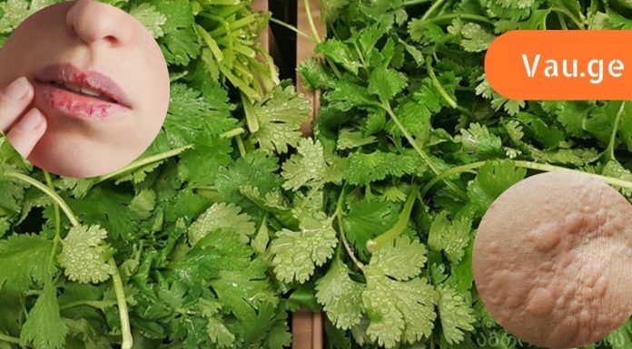 ეს ყველამ უნდა იცოდეს,ქინძის სასწაული თვისებები.