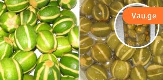 იოდის ბუნებრივი წყარო,დაივიწყეთ ფარისებრი ჯირკვლის პრობლემები!