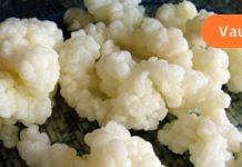 რა სარგებლობა მოაქვს რძის სოკოს დიაბეტით დაავადებულთათვის?