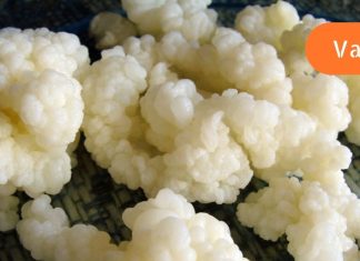 რა სარგებლობა მოაქვს რძის სოკოს დიაბეტით დაავადებულთათვის?