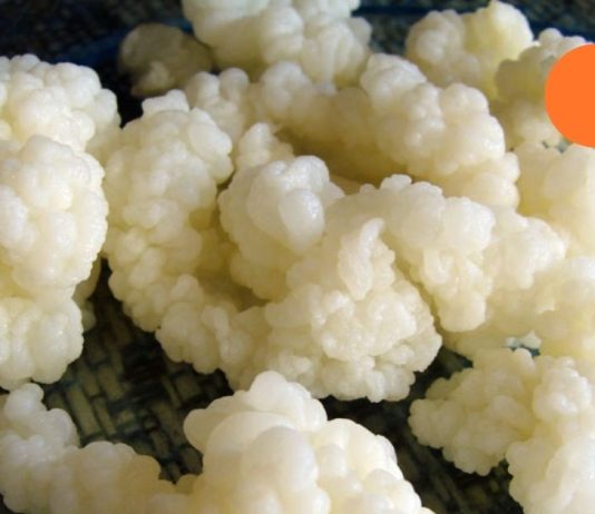 რა სარგებლობა მოაქვს რძის სოკოს დიაბეტით დაავადებულთათვის?