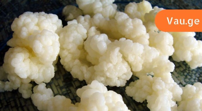 რა სარგებლობა მოაქვს რძის სოკოს დიაბეტით დაავადებულთათვის?