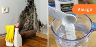 როგორ ამოვიღოთ ობი კედლიდან და თავიდან ავიცილოთ მისი ხელახლა გამოჩენა?