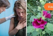 ამ ყვავილის 6 სამკურნალო თვისება,სასწაულებს ახდებს