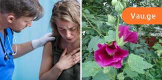 ამ ყვავილის 6 სამკურნალო თვისება,სასწაულებს ახდებს