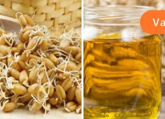 ეს უნდა იცოდეთ.ხორბლის მარცვალის ზეთი.გაიგეთ მის სარგებელის და ზიანის შესახებ