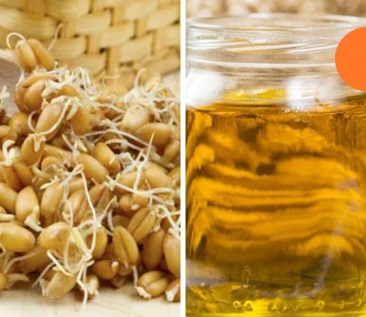 ეს უნდა იცოდეთ.ხორბლის მარცვალის ზეთი.გაიგეთ მის სარგებელის და ზიანის შესახებ