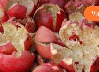 ბროწეულის მშრალი ქერქი მრეავალ დაავადებას დასაწყისშვე სპობს.იხილეთ რეცეპტი