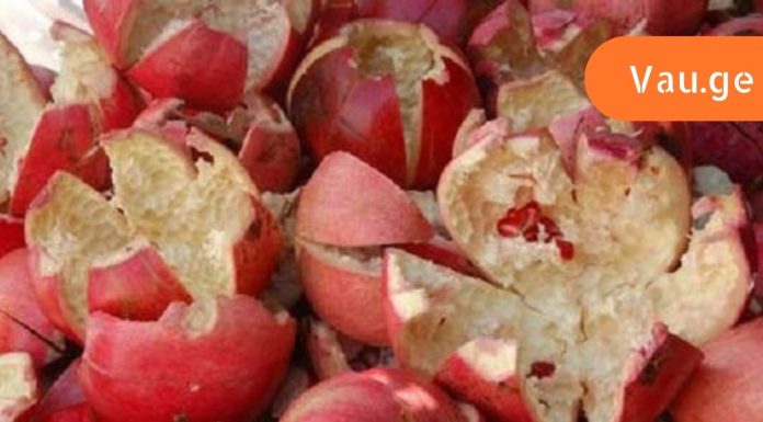 ბროწეულის მშრალი ქერქი მრეავალ დაავადებას დასაწყისშვე სპობს.იხილეთ რეცეპტი