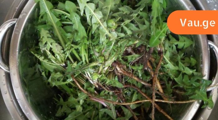 მხოლოდ 1 ფოთოლს შეუძლია შეამსუბუქოს ნებისმიერი მდგომარეობა! ის თითქმის ყველგან იზრდება, მაგრამ ცოტამ თუ იცის მისი გამოყენება.