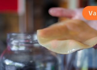 აღმოჩნდა, რომ კომბუჩა წყალს უკეთესად ასუფთავებს, ვიდრე ნებისმიერი ფილტრი, მის გაკეთებას სახლში ვსწავლობ