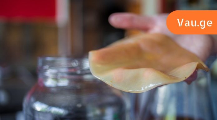 აღმოჩნდა, რომ კომბუჩა წყალს უკეთესად ასუფთავებს, ვიდრე ნებისმიერი ფილტრი, მის გაკეთებას სახლში ვსწავლობ