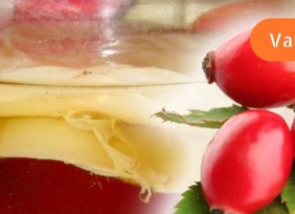 ასკილს არასწორად ამზადებენ, ანადგურებენ C ვიტამინს და გააუქმებენ სასმელის ყველა სარგებელს.