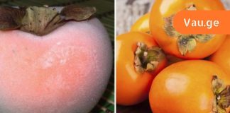 ხურმის სარგებელი,რომლის შესახებ არ გსმენიათ.