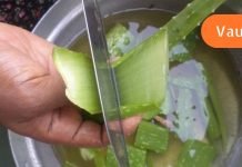 ალოეს სასწაული თვისებები,რომელსაც ექიმები არ გვასწავლიან,არ გადაყაროთ ზედმეტი ფული.