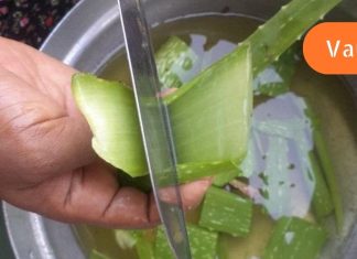 ალოეს სასწაული თვისებები,რომელსაც ექიმები არ გვასწავლიან,არ გადაყაროთ ზედმეტი ფული.