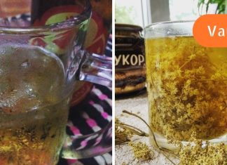 ამ სეზონის აღიარება,ამაზე ნატურალურ ჩაის ვერ მიირთმევთ გაციების და ხველის დროს.