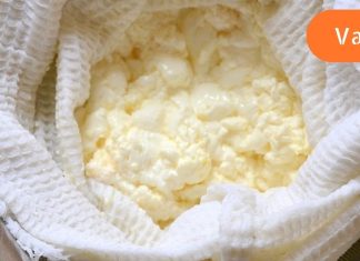 “კალციუმის საწყობი” – ხაჭოს სარგებელი ორგანიზმისთვის